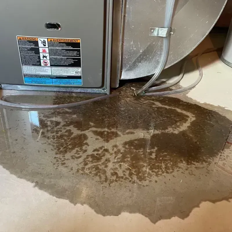 Appliance Leak Cleanup in Lents, OR